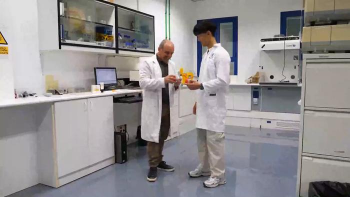 UMA scientists demonstrate the potential of Aspalathus linearis, the rooibos plant, against UV radiation