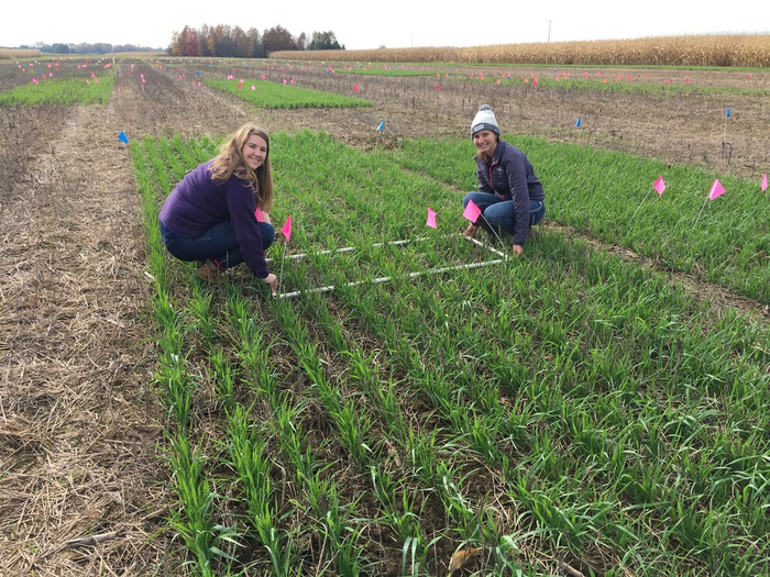 no till w/students