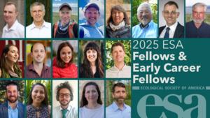 2025 Ecological Society of America Fellows and Early Career Fellows