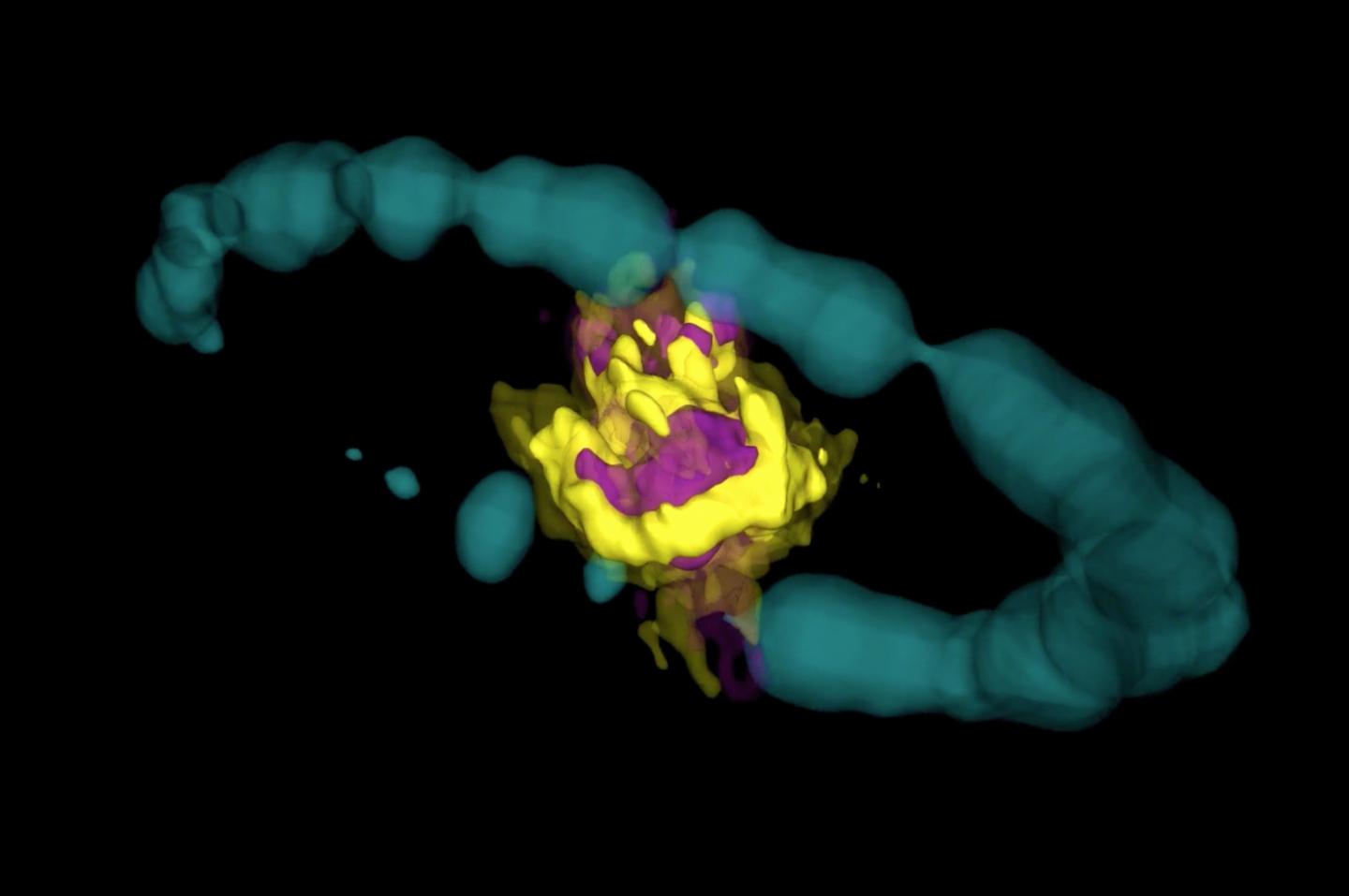 Molecules in SN 1987A