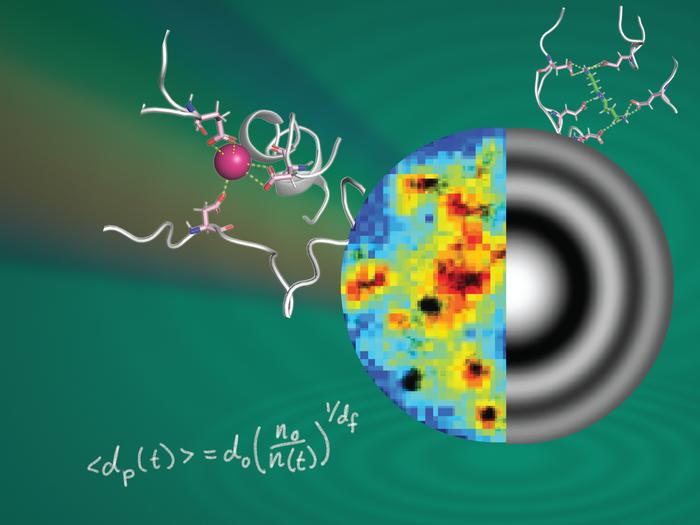 The hidden world of biomolecular condensates