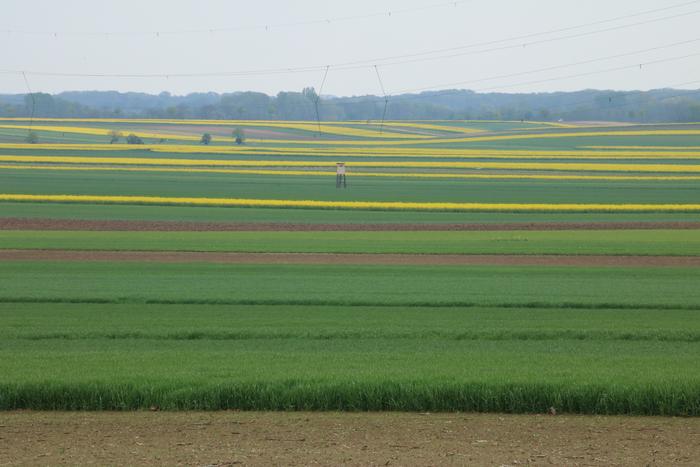 Small-scale agricultural landscape in Austria