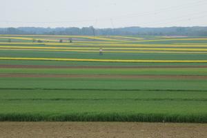 Small-scale agricultural landscape in Austria