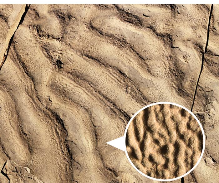 Ripples and wrinkle structure inset