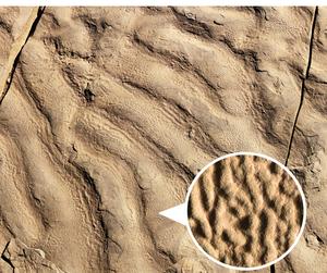 Ripples and wrinkle structure inset