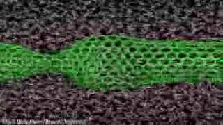Nanotube Incisions