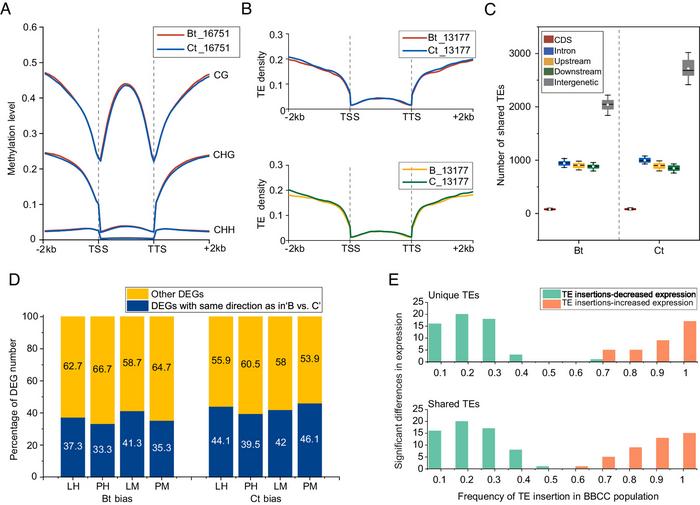 Exploration of impact of DNA methylation, TE distribution, and parental legacy on the expression patterns of homoeologous genes in Oryza minuta