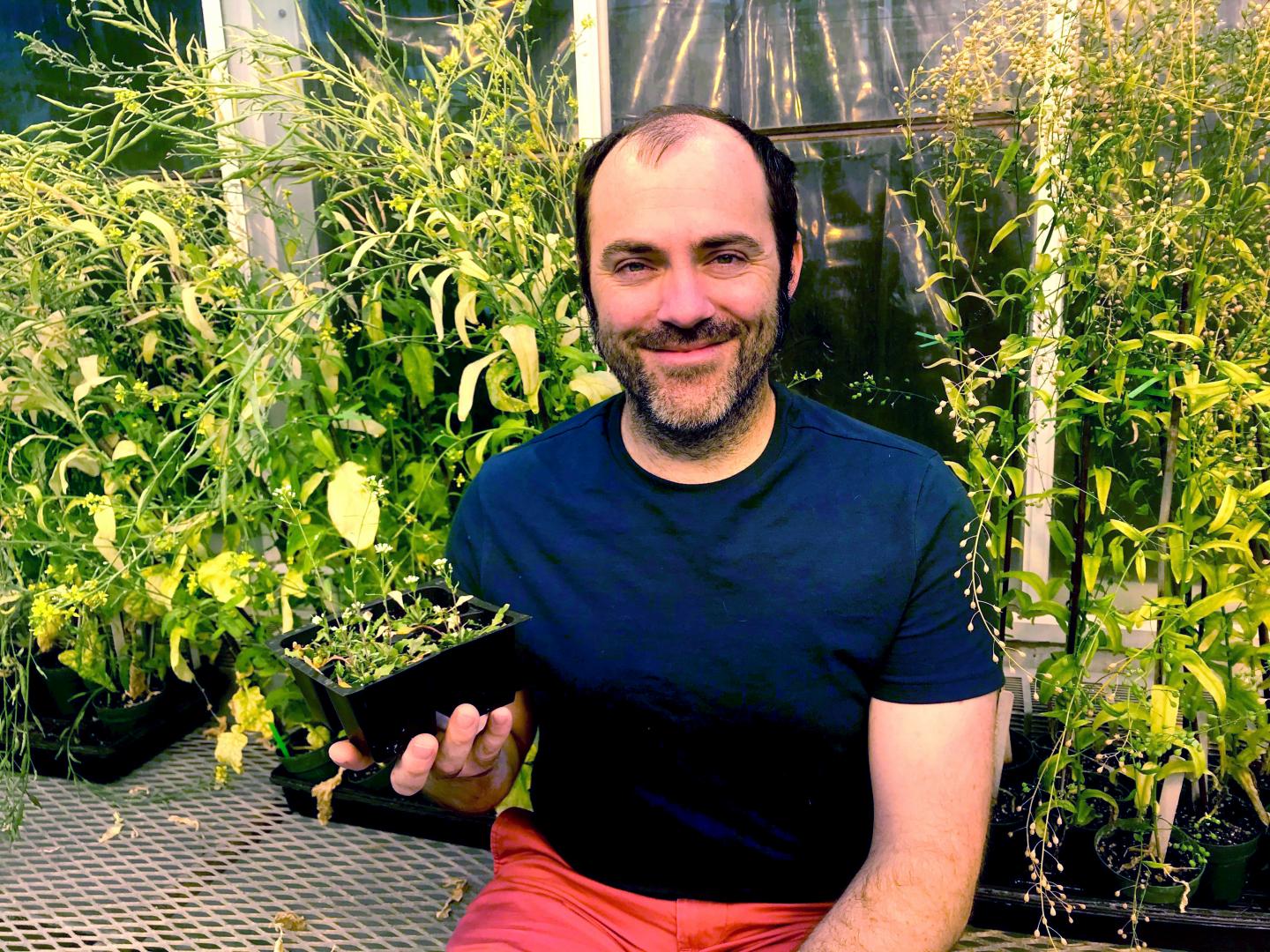 Andrew Nelson, Boyce Thompson Institute
