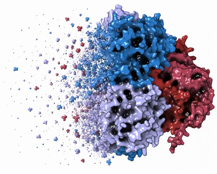 Degradation of NUDT5 (Artistic representation)