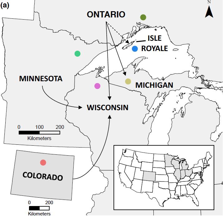 Marten Map