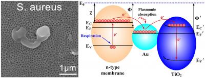 Electron Extraction by Gold Nanoparticles