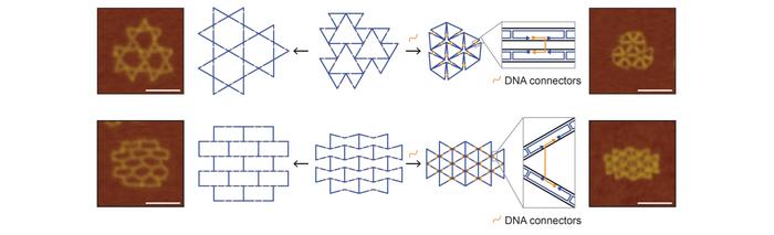 Figure 2. Example of a reconfigurable nanostructure transitioning from an open to a closed state (scale bar: 100 nm)