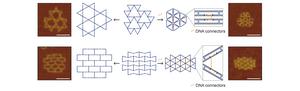 Figure 2. Example of a reconfigurable nanostructure transitioning from an open to a closed state (scale bar: 100 nm)