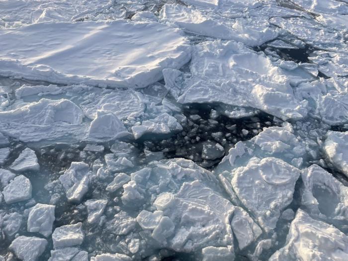Sea ice photo