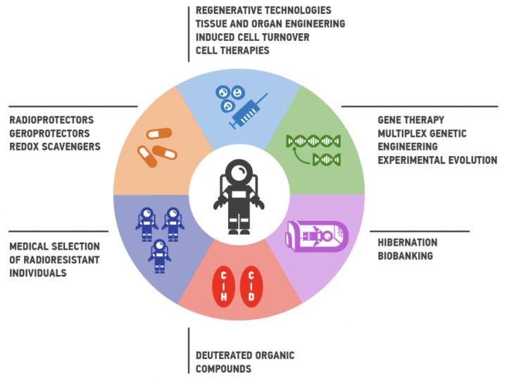 Roadmap To Enhance Human Radioresistance