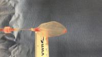 Perfusion of a Decellularized Spinach Leaf