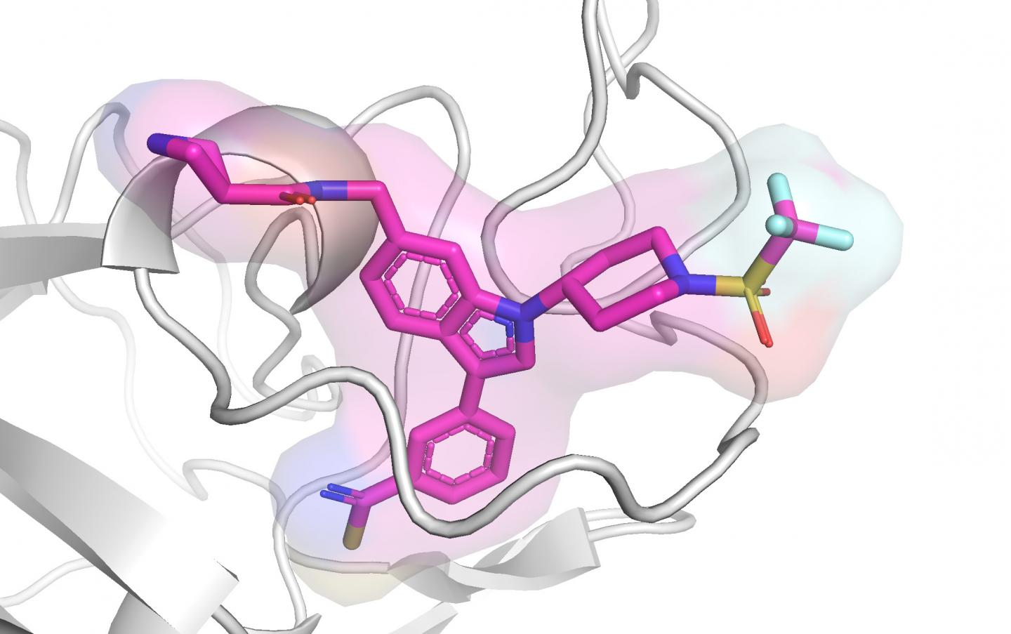 ASH1L inhibitor