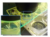 I-Wire Heart-on-chip