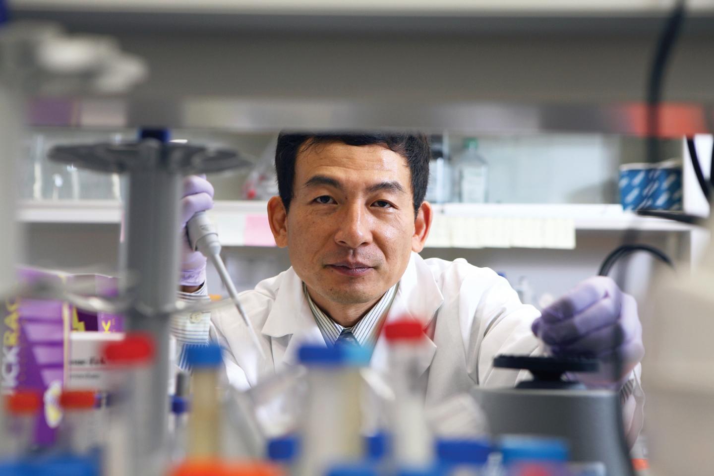Z. Jim Wang, University of Illinois at Chicago