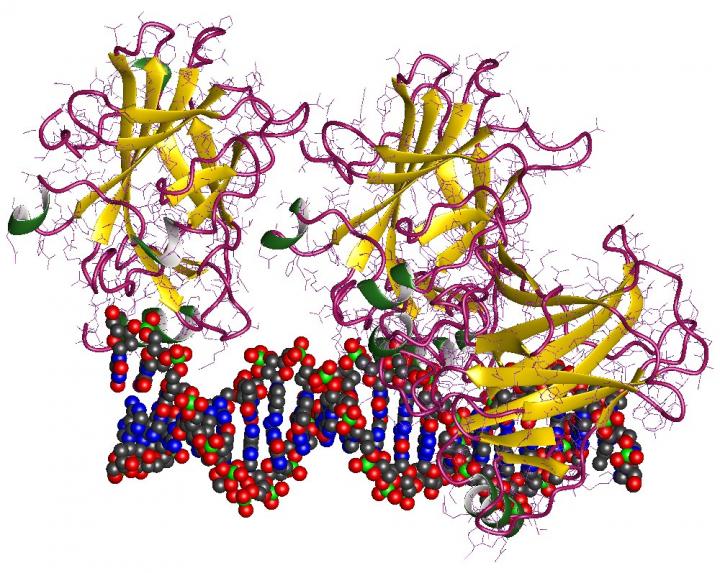 A Biosensor is Able to Detect Tumors at Early Stages