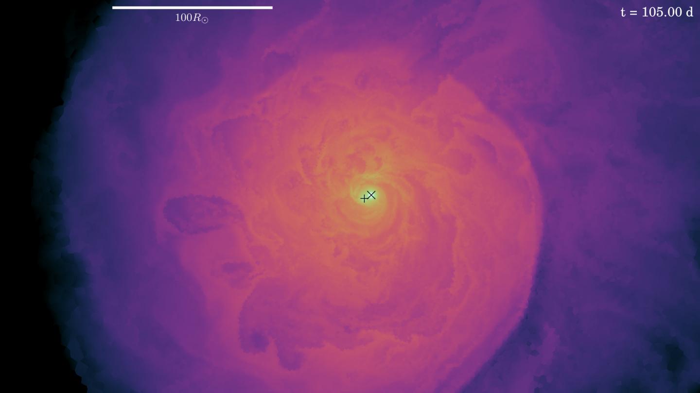 Slice through the Simulation in the Orbital Plane