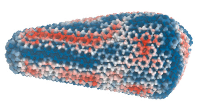HIV-1 Capsid Simulations