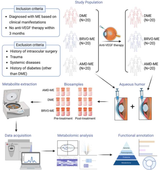 Overview of study design and analytical flow for identifying metabolic features associated with anti-VEGF therapy on macular edema (ME) patients
