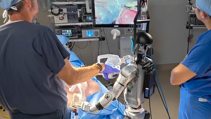 Robot and human assistant