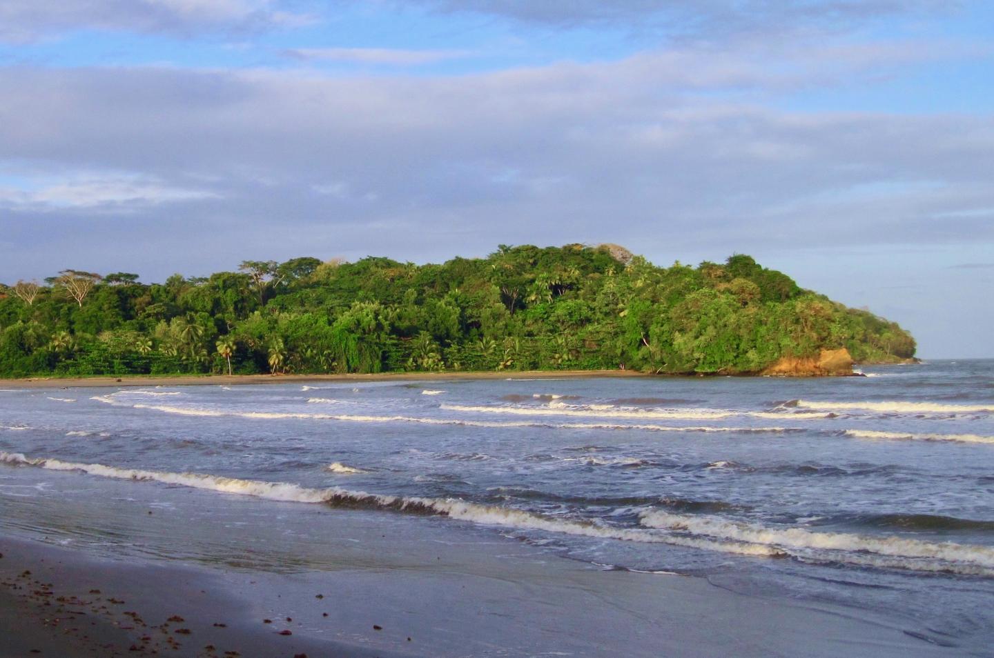 Trinidad