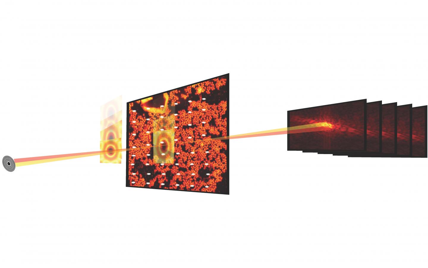 Ptychographic X-ray Imaging and Data Reconstruction