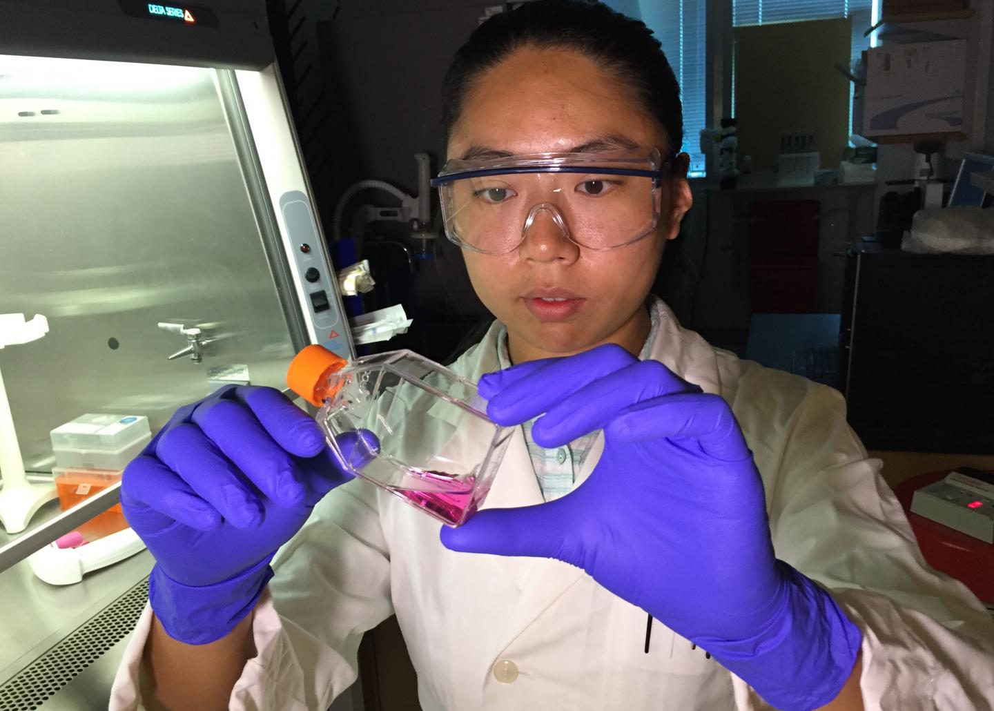 Studying Pancreatic Cancer Cells (1 of 2)