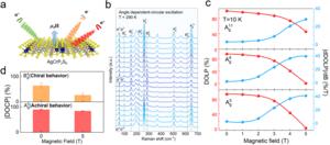 2D Material Shows Strong Magnetic Control of Phonon Behavior