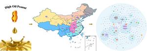 Distribution and Genealogy of High Oil Peanuts in China.