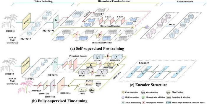 Figure 2. Overview of Plant-MAE.