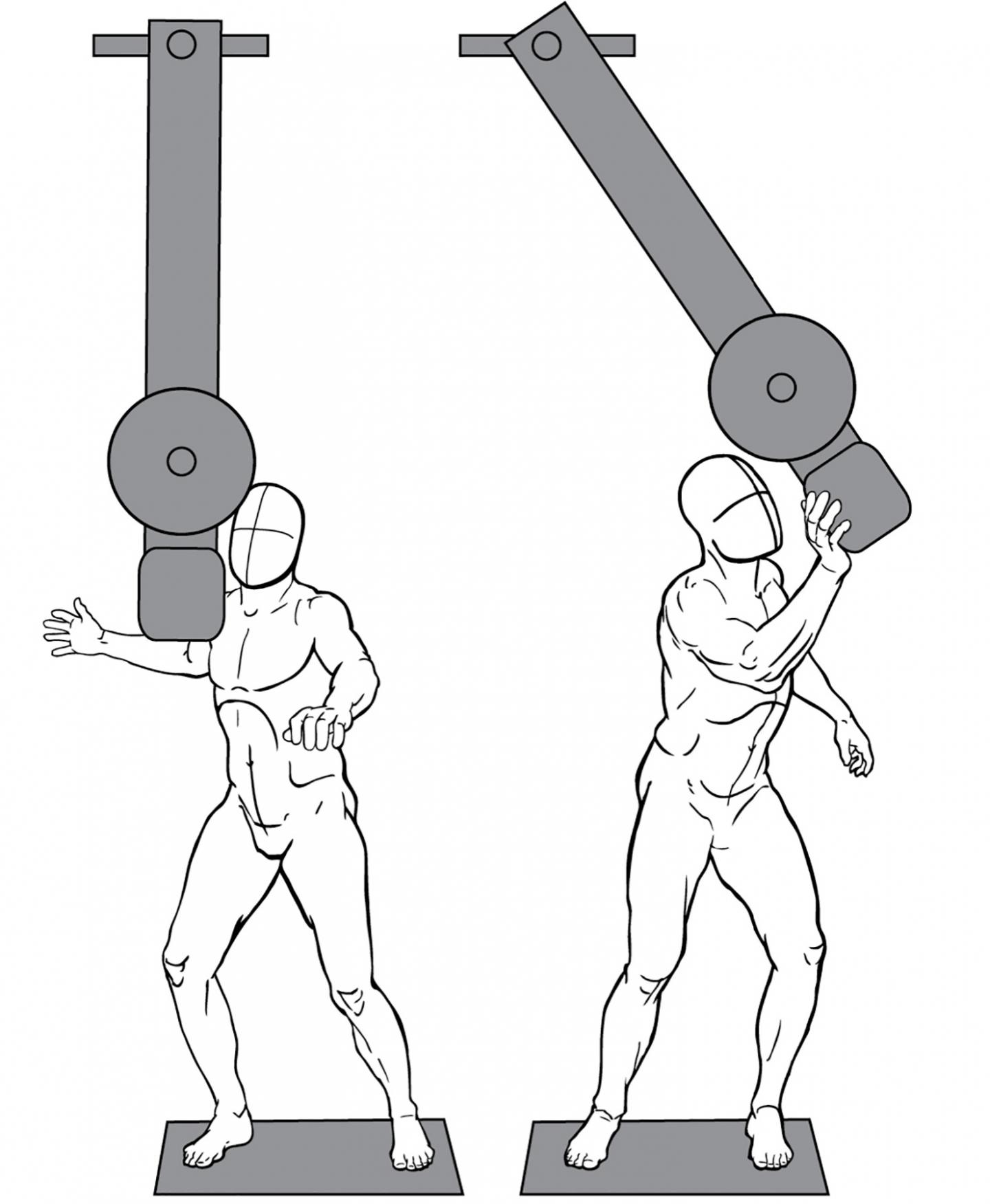 Plantigrade Pendulum Diagram