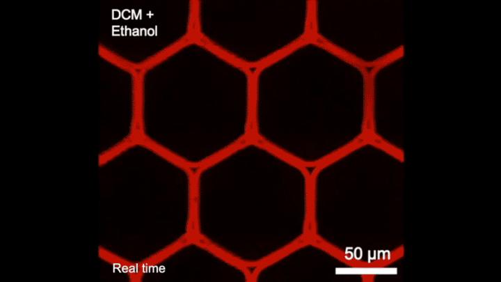 Disassembly of the microstructures
