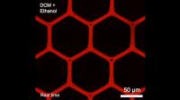 Disassembly of the microstructures