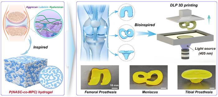 Graphical abstract