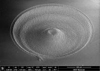 Scientists Develop Spectacles for X-ray Lasers (2 of 2)