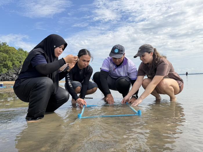 The research team conducts a percent-cover estimation of the seagrass meadow. (Walailak University).