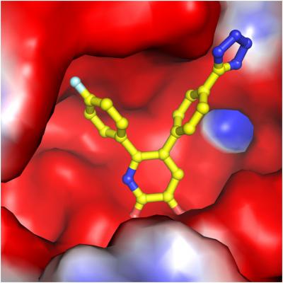 New Anti-Flu Compound Binds to Viral Enzyme