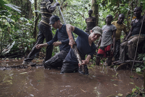 Congo peatlands study