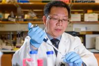 Guangfu Li, Ph.D., D.V.M., University of Missouri-Columbia 