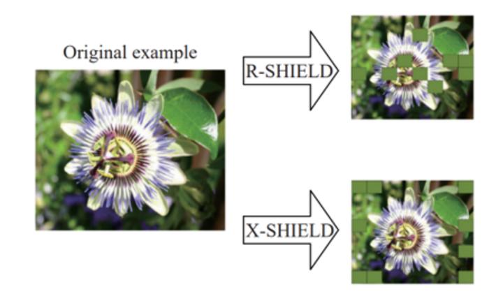 Transformations proposed by the R-SHIELD and XSHIELD to an example of the Flowers dataset.