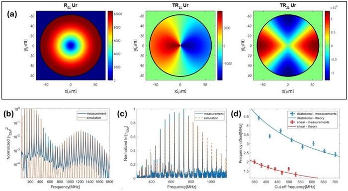 Figure 1| Forward Brillouin Scattering in Few-Mode Fibers.