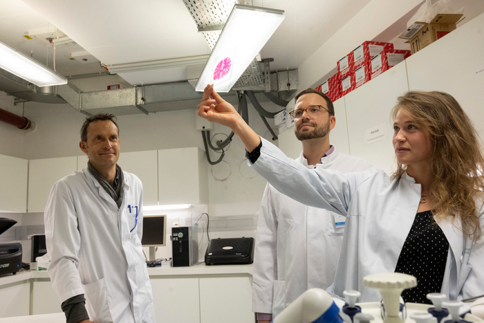 Betrachten ein neuropathologisches Großschnittpräparat (von links):