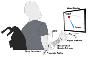 Experimental setup