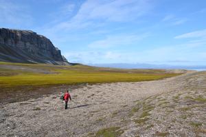 Fieldwork in Svalbard