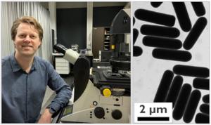 Thijs Besseling used a confocal microscope to investigate the rod-shaped particles