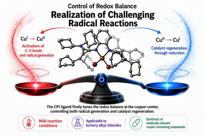 KAIST Develops a Strategy to Balance Radical Generation and Catalyst Regeneration, Enabling Challenging Chemical Reactions